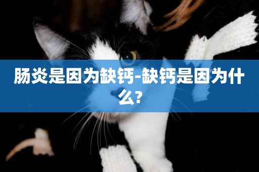 腸炎是因為缺鈣-缺鈣是因為什么?