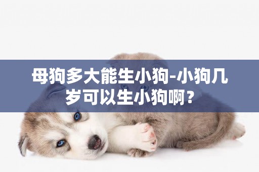 母狗多大能生小狗-小狗幾歲可以生小狗啊？