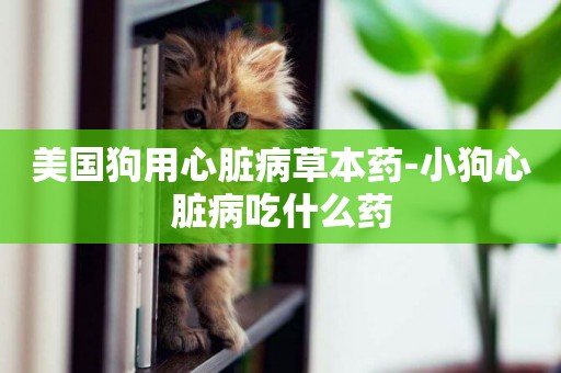 美國狗用心臟病草本藥-小狗心臟病吃什么藥