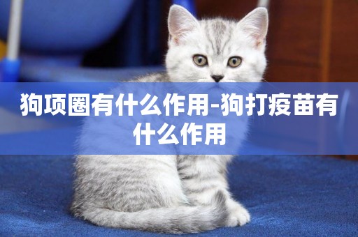 狗項圈有什么作用-狗打疫苗有什么作用