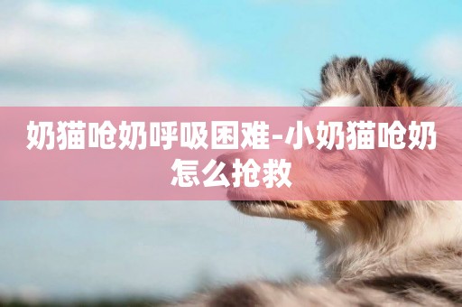 奶貓嗆奶呼吸困難-小奶貓嗆奶怎么搶救