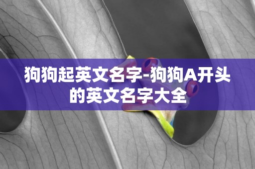 狗狗起英文名字-狗狗A開頭的英文名字大全