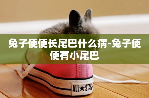 兔子便便長尾巴什么病-兔子便便有小尾巴