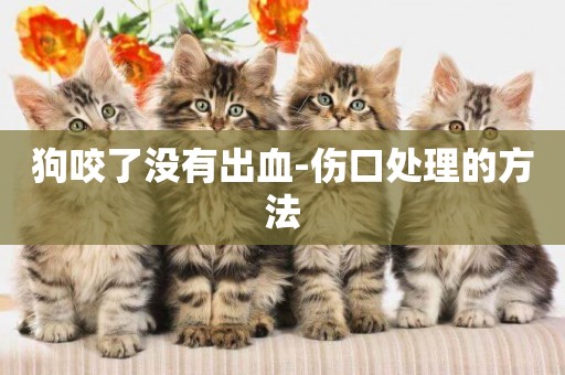 狗咬了沒有出血-傷口處理的方法