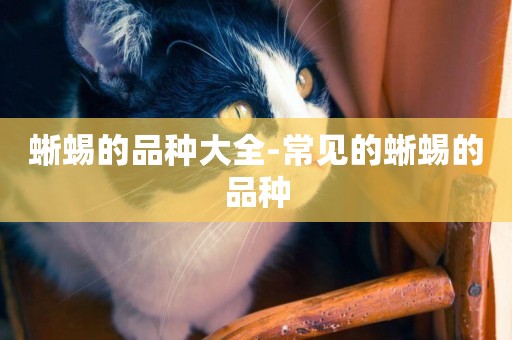 蜥蜴的品種大全-常見的蜥蜴的品種