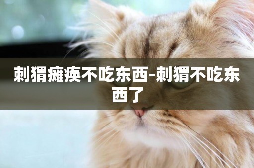 刺猬癱瘓不吃東西-刺猬不吃東西了