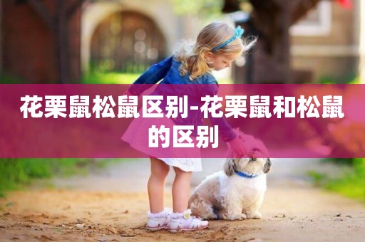 花栗鼠松鼠區別-花栗鼠和松鼠的區別