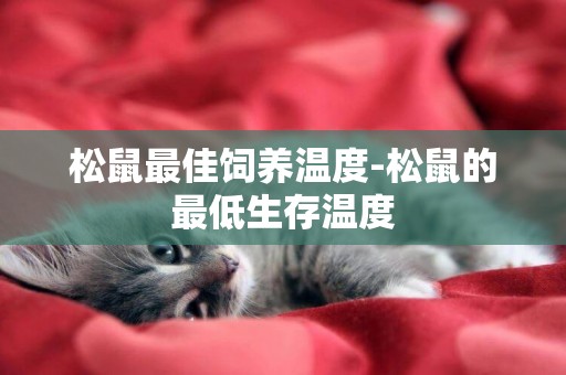 松鼠最佳飼養溫度-松鼠的最低生存溫度
