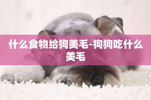 什么食物給狗美毛-狗狗吃什么美毛