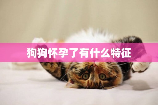 狗狗懷孕了有什么特征