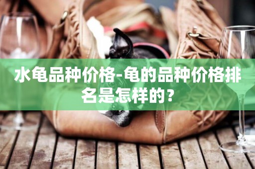 水龜品種價格-龜的品種價格排名是怎樣的？