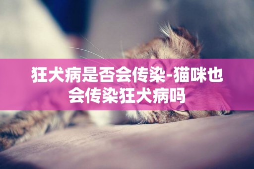狂犬病是否會傳染-貓咪也會傳染狂犬病嗎