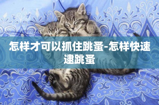 怎樣才可以抓住跳蚤-怎樣快速逮跳蚤