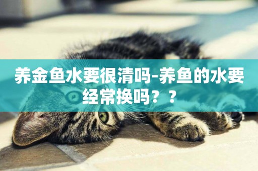 養金魚水要很清嗎-養魚的水要經常換嗎？？