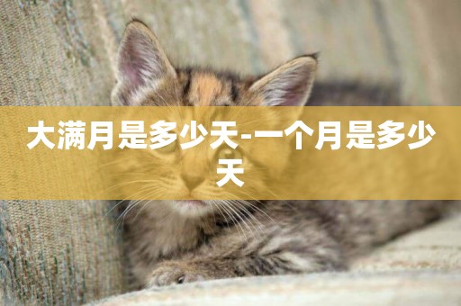 大滿月是多少天-一個月是多少天