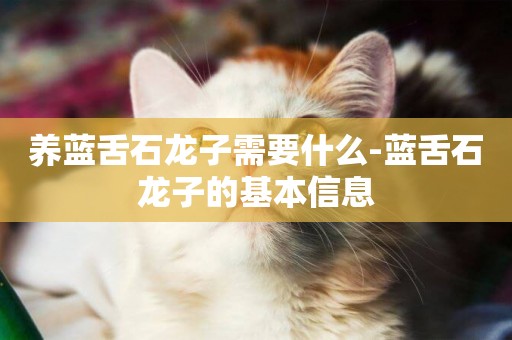 養藍舌石龍子需要什么-藍舌石龍子的基本信息