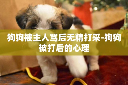 狗狗被主人罵后無精打采-狗狗被打后的心理