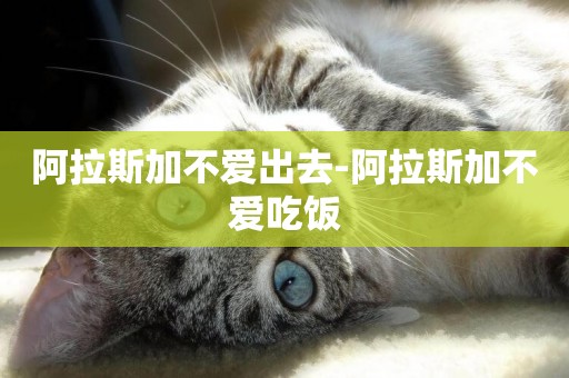 阿拉斯加不愛出去-阿拉斯加不愛吃飯