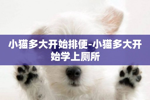 小貓多大開始排便-小貓多大開始學上廁所