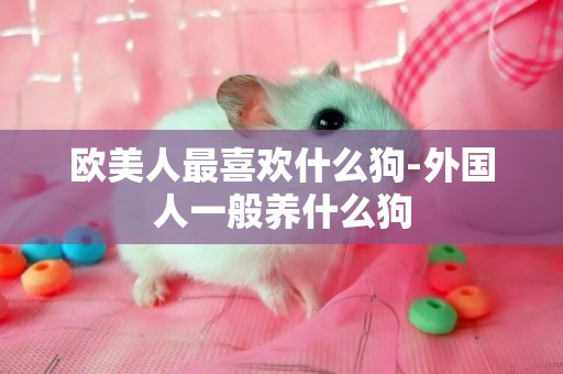 歐美人最喜歡什么狗-外國人一般養什么狗