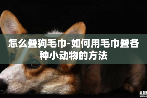 怎么疊狗毛巾-如何用毛巾疊各種小動物的方法