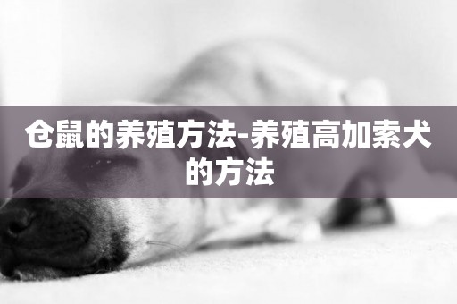 倉鼠的養殖方法-養殖高加索犬的方法