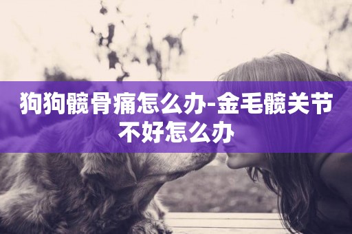 狗狗髖骨痛怎么辦-金毛髖關節不好怎么辦