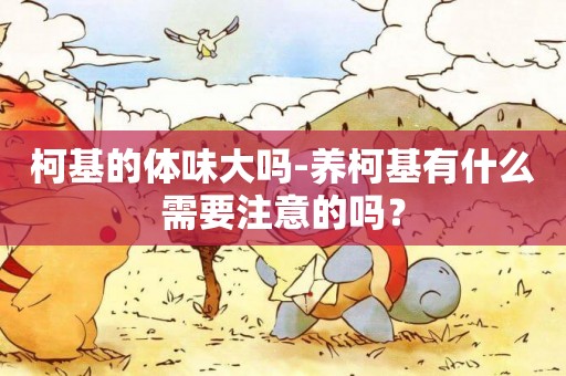 柯基的體味大嗎-養柯基有什么需要注意的嗎？