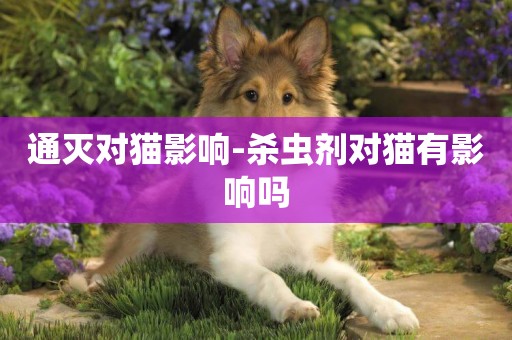 通滅對貓影響-殺蟲劑對貓有影響嗎