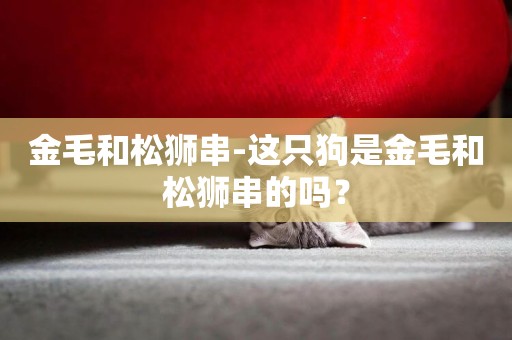 金毛和松獅串-這只狗是金毛和松獅串的嗎？