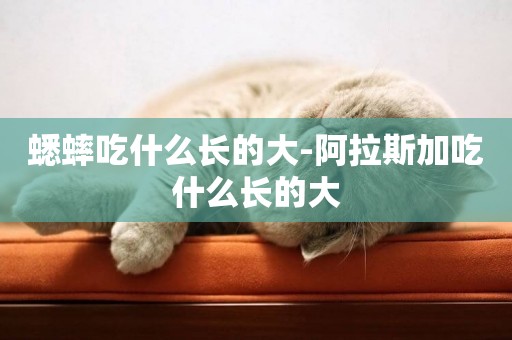 蟋蟀吃什么長的大-阿拉斯加吃什么長的大