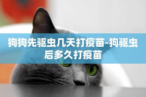 狗狗先驅蟲幾天打疫苗-狗驅蟲后多久打疫苗