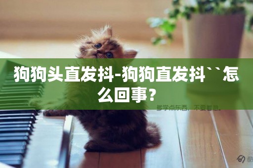 狗狗頭直發抖-狗狗直發抖``怎么回事？
