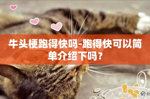 牛頭梗跑得快嗎-跑得快可以簡單介紹下嗎？