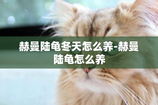赫曼陸龜冬天怎么養-赫曼陸龜怎么養