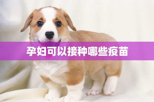 孕婦可以接種哪些疫苗