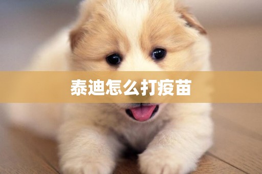 泰迪怎么打疫苗