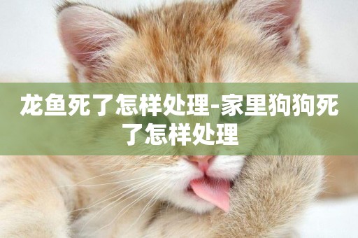 龍魚死了怎樣處理-家里狗狗死了怎樣處理