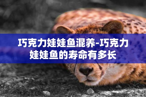 巧克力娃娃魚混養-巧克力娃娃魚的壽命有多長
