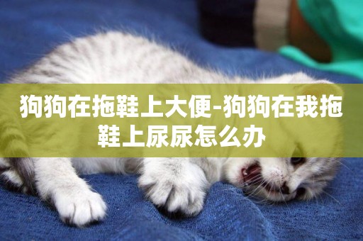 狗狗在拖鞋上大便-狗狗在我拖鞋上尿尿怎么辦