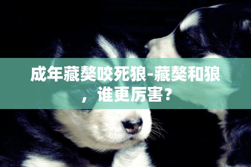 成年藏獒咬死狼-藏獒和狼，誰更厲害？