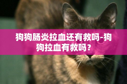 狗狗腸炎拉血還有救嗎-狗狗拉血有救嗎？