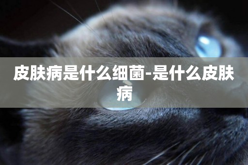 皮膚病是什么細菌-是什么皮膚病