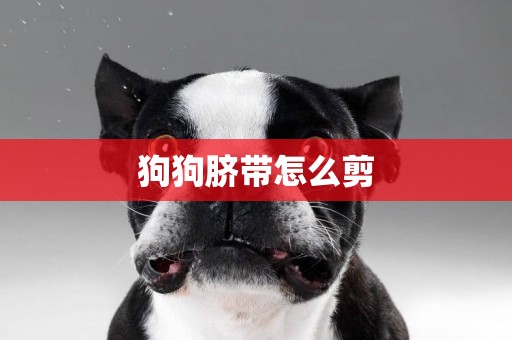 狗狗臍帶怎么剪