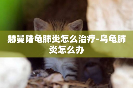 赫曼陸龜肺炎怎么治療-烏龜肺炎怎么辦