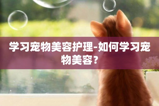 學習寵物美容護理-如何學習寵物美容？