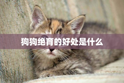 狗狗絕育的好處是什么