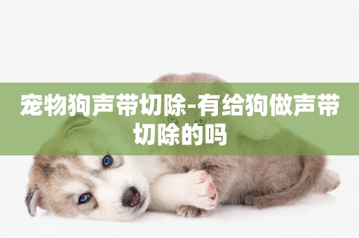 寵物狗聲帶切除-有給狗做聲帶切除的嗎