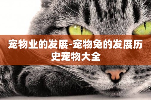 寵物業的發展-寵物兔的發展歷史寵物大全