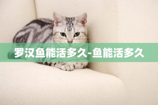羅漢魚能活多久-魚能活多久